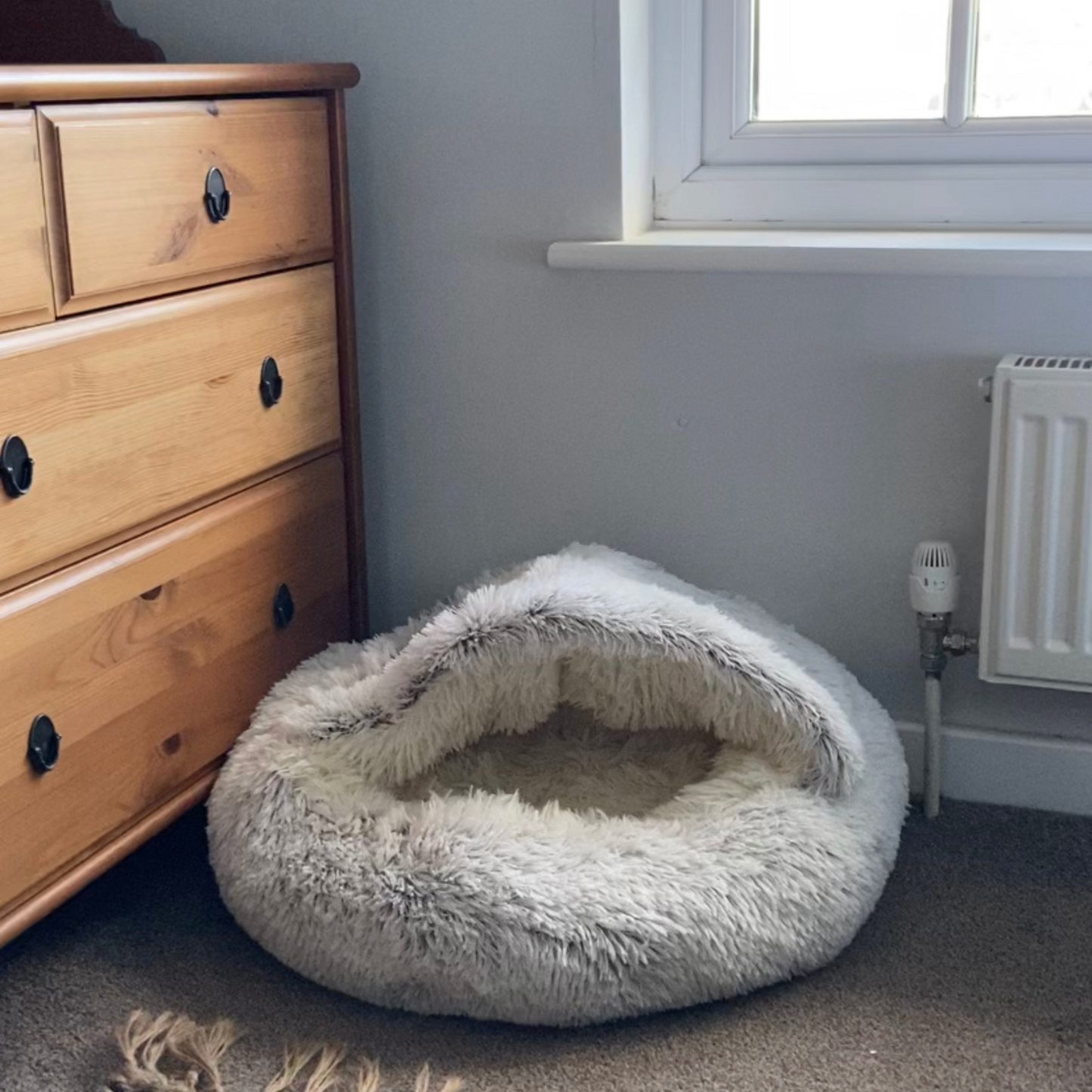 Burrow bud pet bed sale